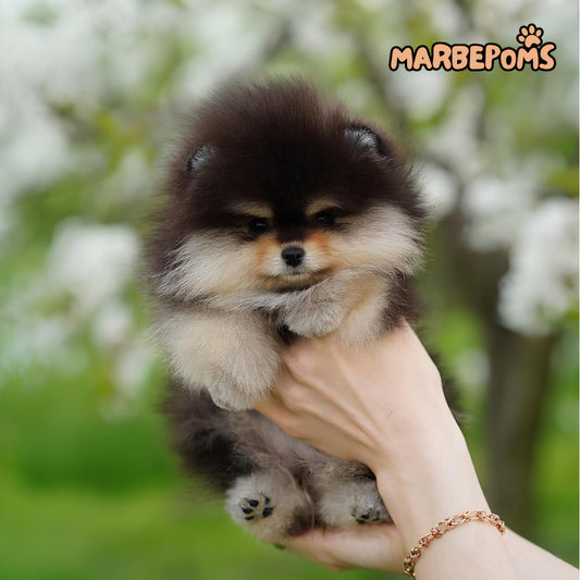 Nita🎀